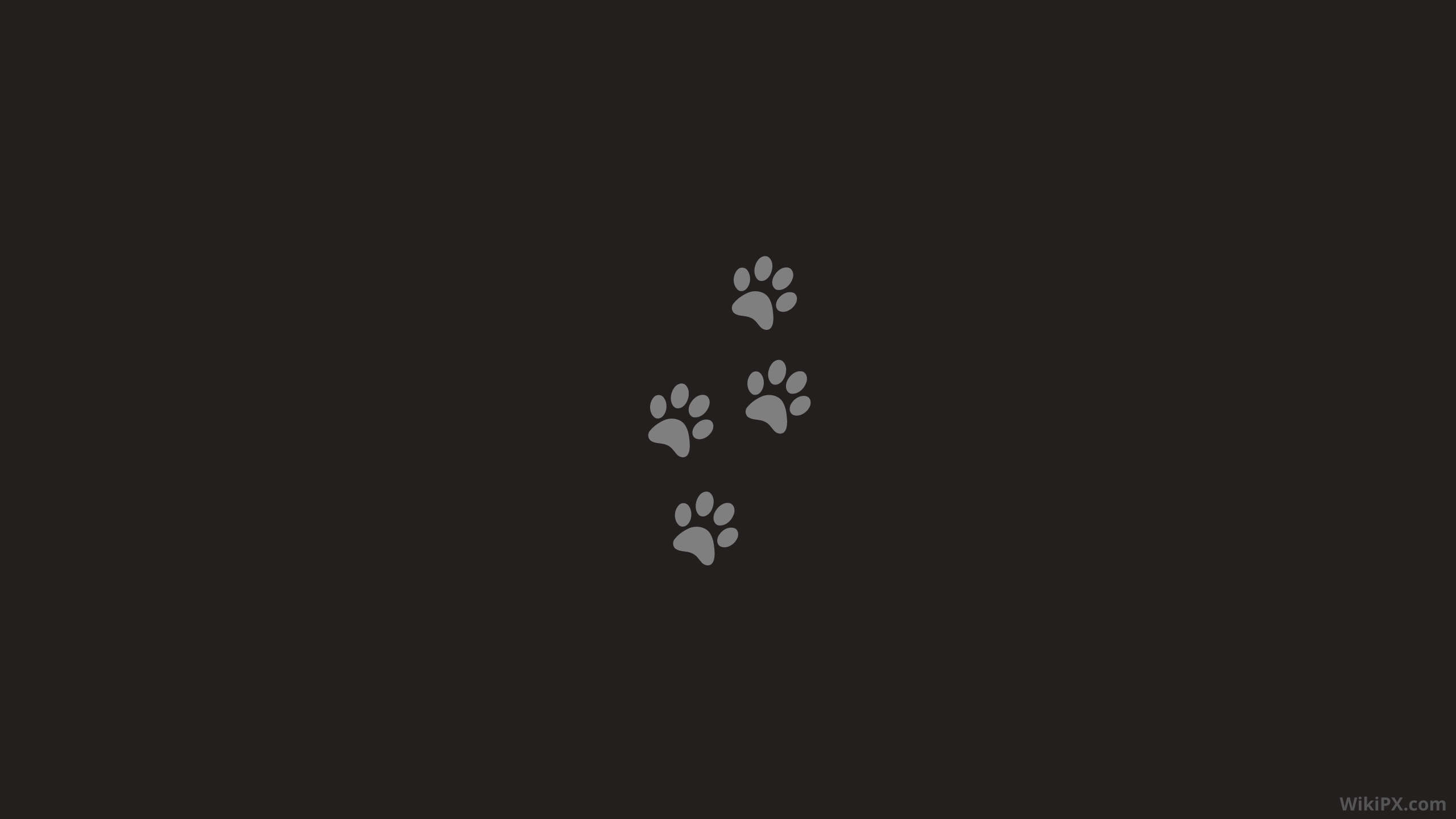Dog Footprint HD wallpaper