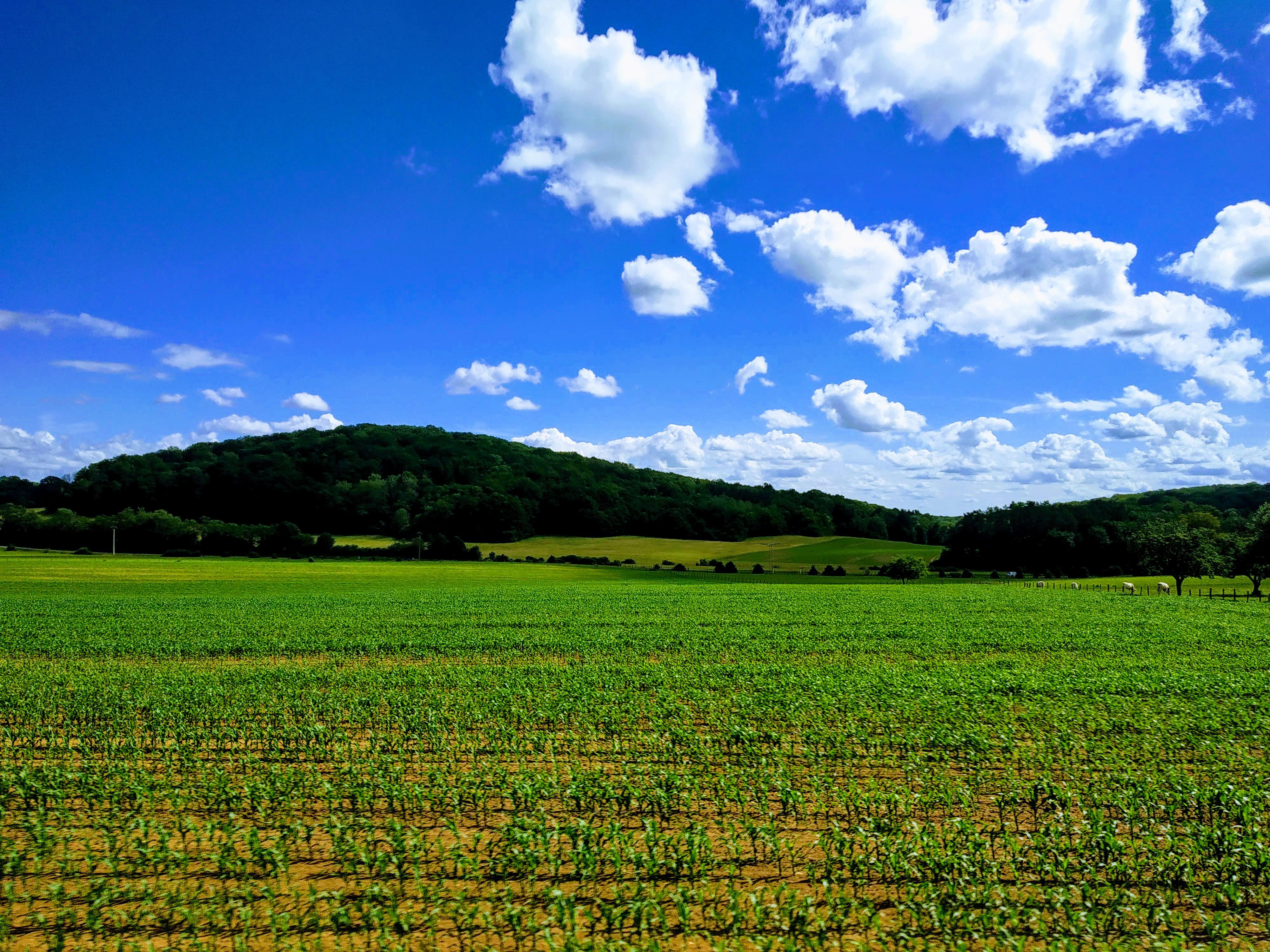 Countryside Photos Download The BEST Free Countryside Stock Photos  HD  Images