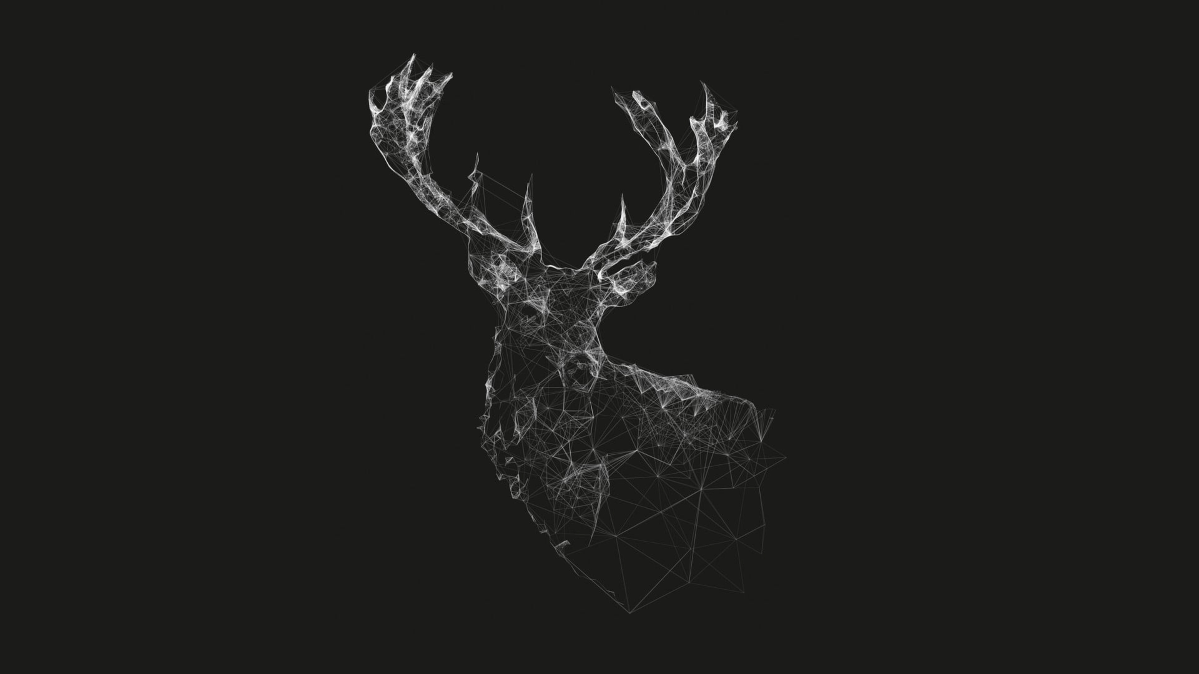 Deer 4K wallpapers for your desktop or mobile screen free and easy to  download