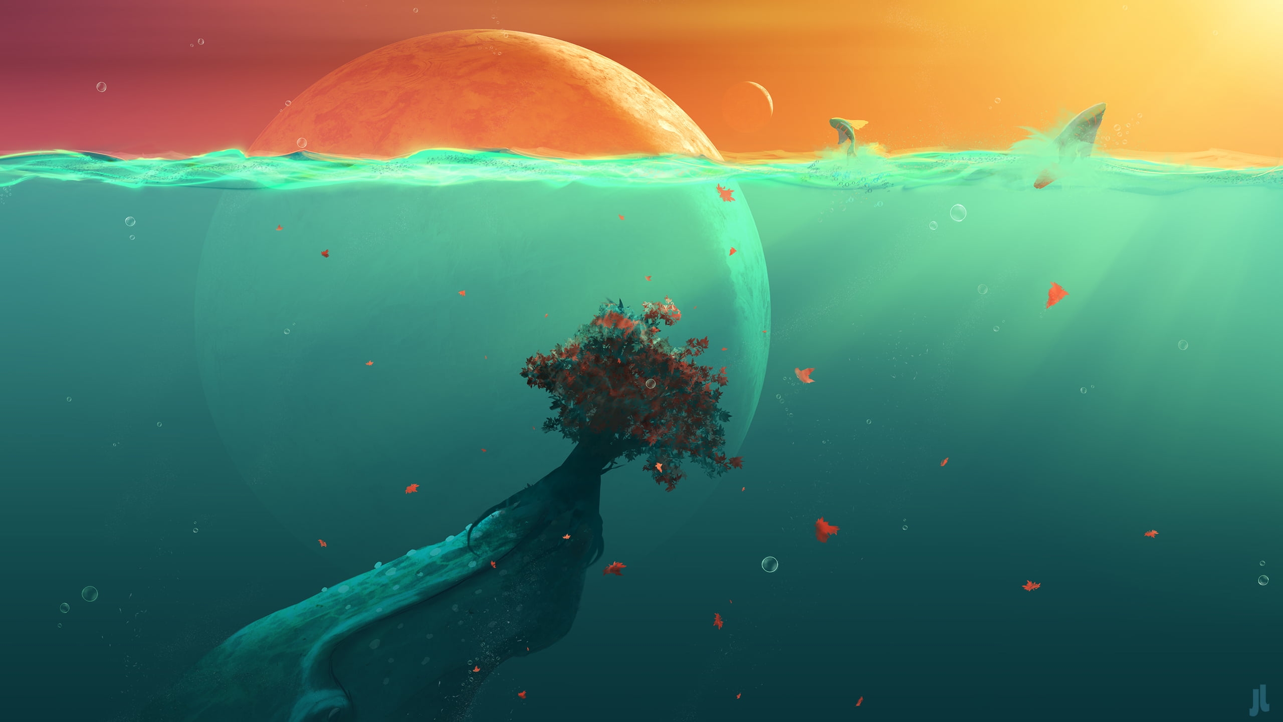Underwater Desktop Backgrounds (71+ images)