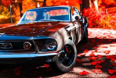 X Mustang