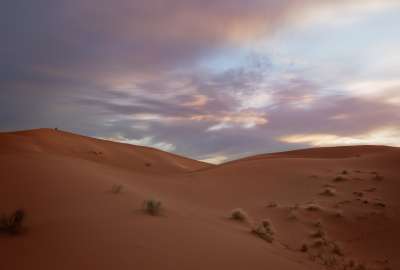 A Beautiful Desert