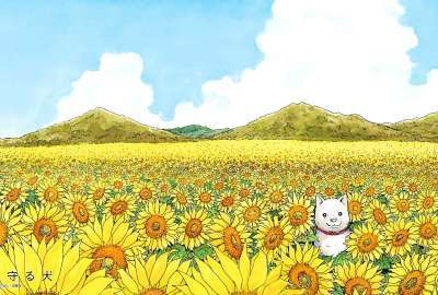 A Dog in a Field of Flowers. One of the Less Abstract but Still Vibrant Works of Takashi Murakami