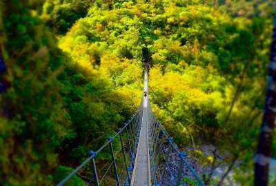 A Swing Bridge on Steroids - Franz Jospeh New Zealand