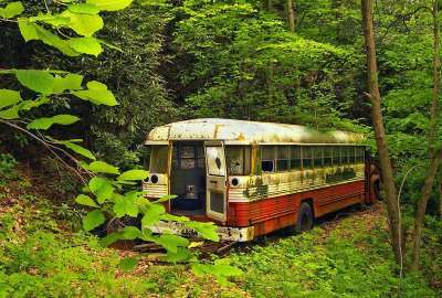 Abandoned Bus in a Forest