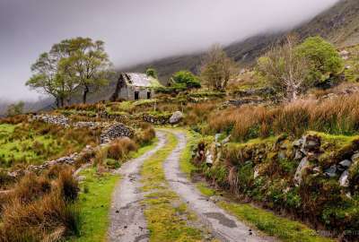 Abandoned Cottage in the Black Valley of Ireland