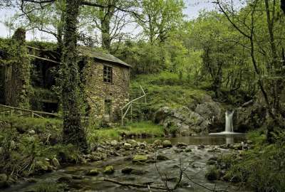 Abandoned Cottage 16402