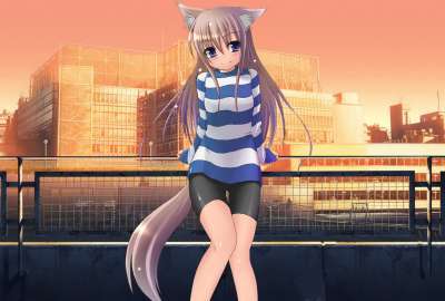 Anime Girl Cat