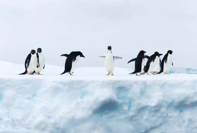 Antarctica Trip With Silversea Cruises to Ushuaia