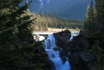 Athabasca Falls in Jasper National Park - Alberta Canada