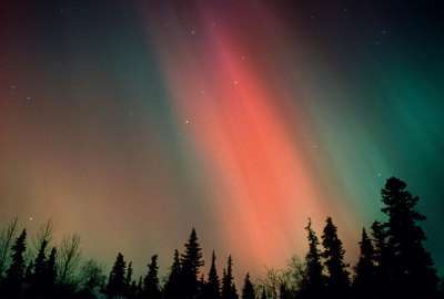 Aurora Over The Forest