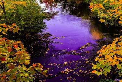 Autumn Maine Stream