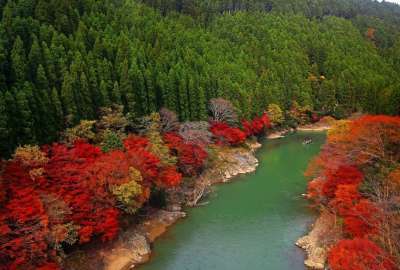 Autumn River Forest 18398