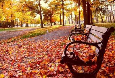 Autumn Season