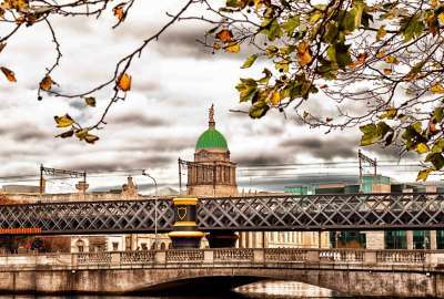 Autumn Trees Bridge Dublin Ireland