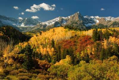 Autumn Trees With Mountains