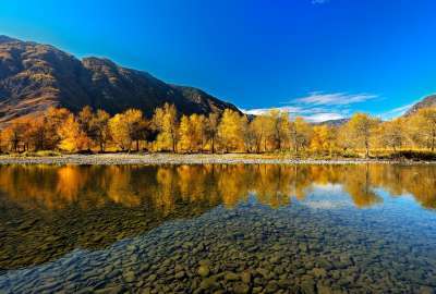 Autumn Trees Over Lake Landscape