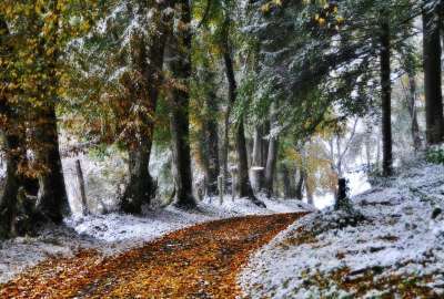 Autumn Winter Road