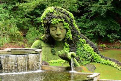 Beautiful Atlanta Botanical Garden In USA Hd Pic