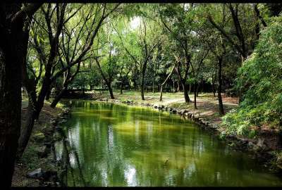 Beautiful Park in Hangzhou China