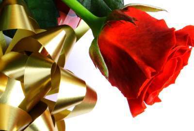 Beautiful Red Love Rose 11348