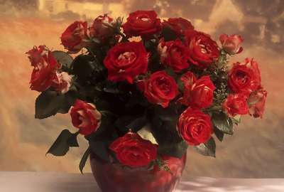 Beautiful Red Rose Flowers