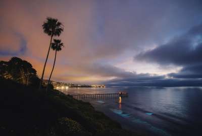 Bioluminescence in La Jolla CA