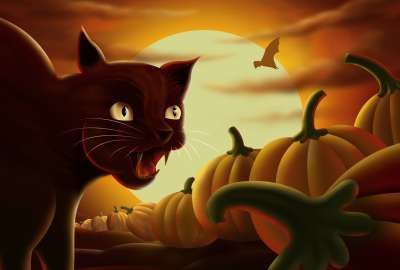 Black Cat on Halloween Night
