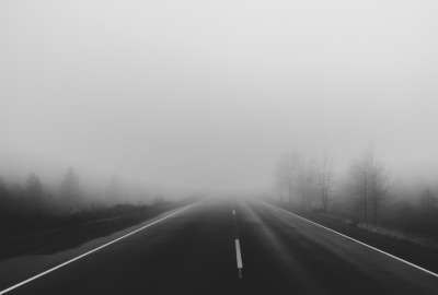 Black and white Fog Roads Trees