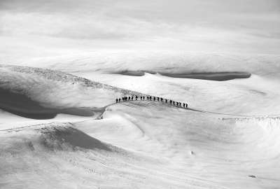 Black and white Ice Mountains People Snow Trekking Winter