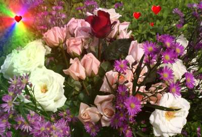 Blue Roses Valentine Bouquet