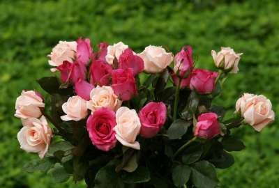 Bouquet De Roses
