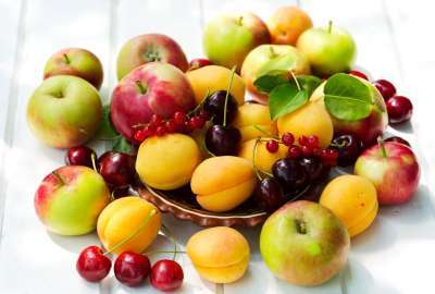 Bowl of Fruits