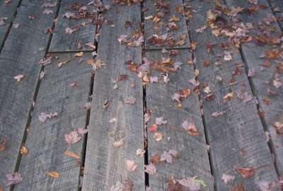 Brown Gray Leaves Planks Wood