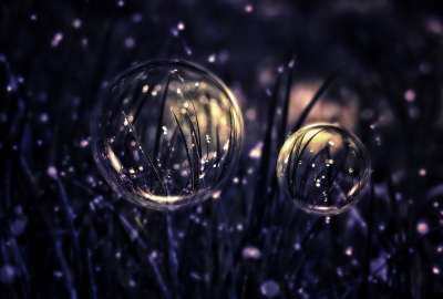 Bubbles Grass Drops