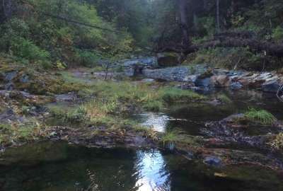 Calf Creek Umpqua National Forest Oregon