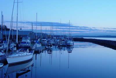 Calm Morning on Port