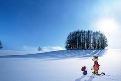 Calvin and Hobbes in a Remote Snow Field