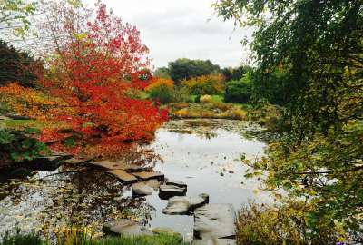 Cambridge UK Botanic Gardens in Autumn