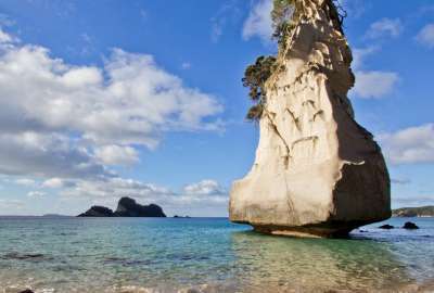 Cathedral Cove New Zealand
