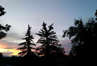 Colorado Tree Sunset