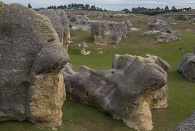 Elephant Rocks New Zealand
