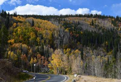 Fall Colors in RMNP Colorado