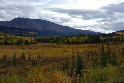 Fall in Love With the Autumn Colours of Northern British Columbia