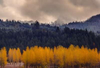 Fall in the Pacific Northwest - Lorane Oregon