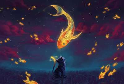 Fantasy Fish and Cat