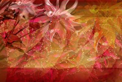 Floral Abstract 7803