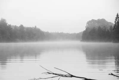 Fog Lake