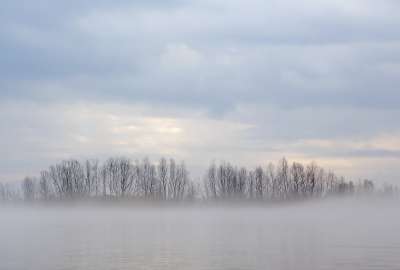 Fog Over Lake View