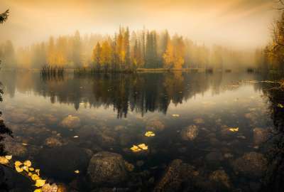 Foggy Lake in Finland